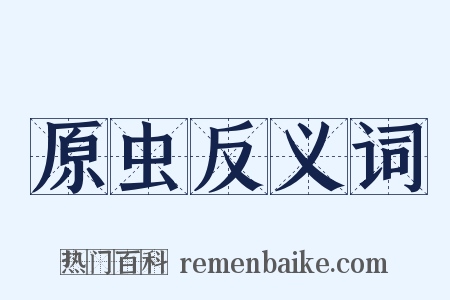 原虫反义词是什么意思的图片